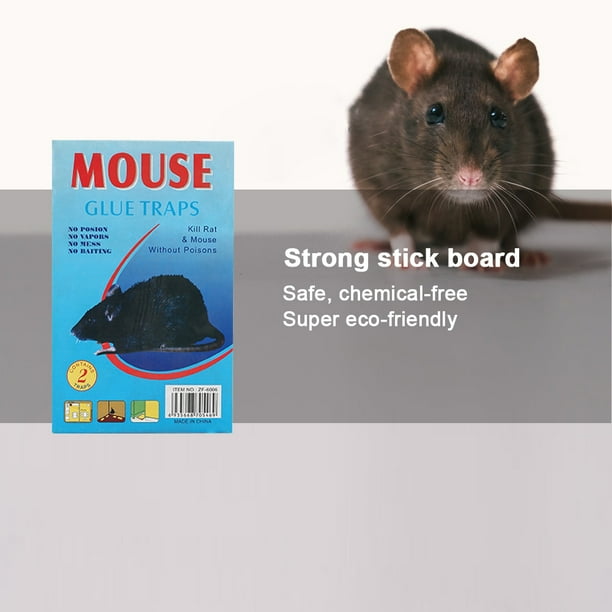 Trampas Para Ratas Trampa de pegamento Trampas para ratones Rat Mouse Catcher para cocina (22x14cm) Azul 2pcs Ndcxsfigh Para estrenar
