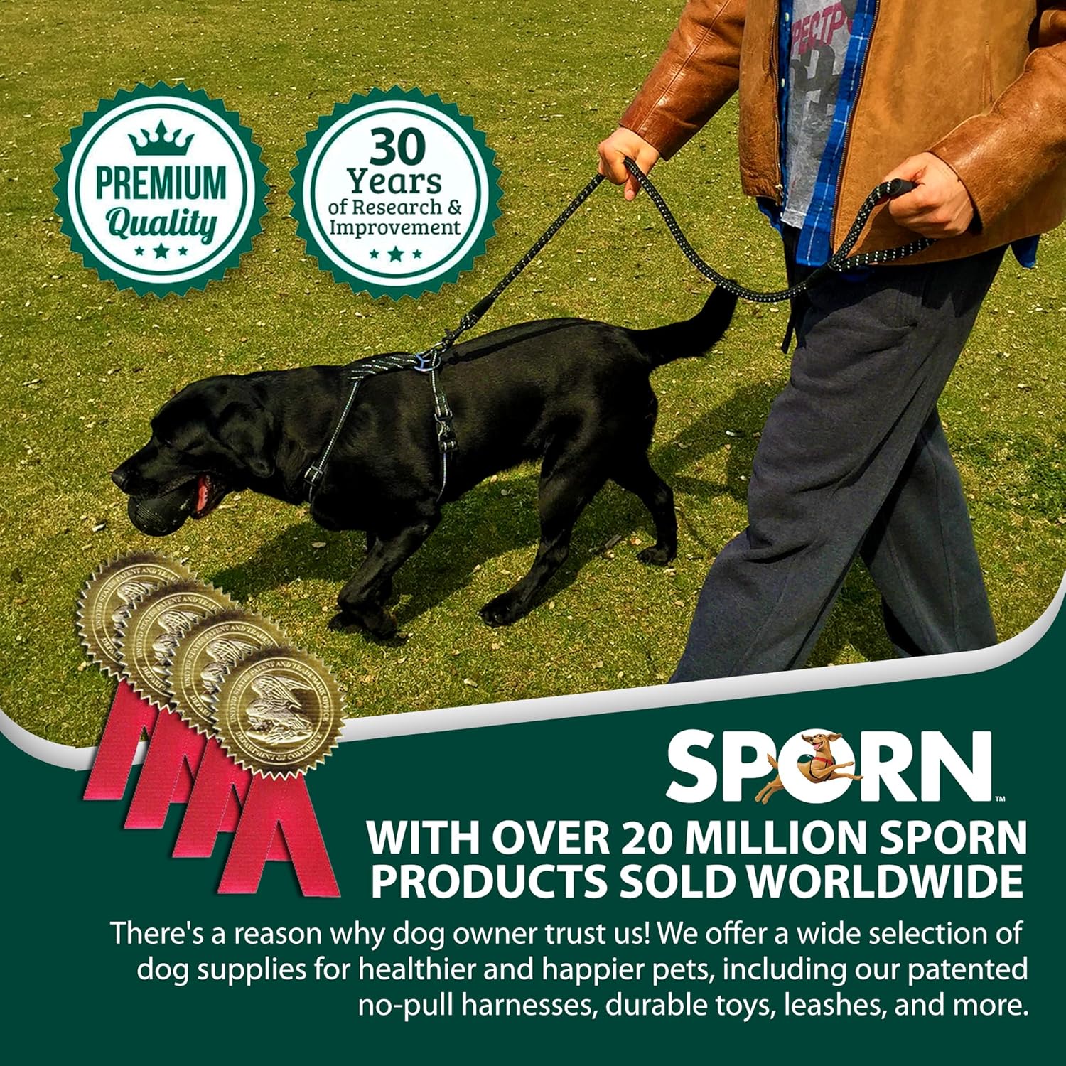 Laisse De Dressage Pour Chien Sporn Anti-friction, Laisse Pour Chien En Nylon Rembourré Antidérapant Et Robuste De 1,2 M Pour Un Contrôle Maximal, Laisse Sans Traction Avec Boucle À Pression, Noire 4 pi
