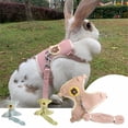 thumbnail image 2 of Conjunto de arnés y correa para conejos, accesorios para mascotas, chaleco, correas para conejos para caminar al aire libre, suministros para mascotas, novedad, 2 of 4