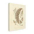 thumbnail image 2 of Trademark Fine Art 'Sepia Ferns IV' Canvas Art by Vision Studio, 2 of 4