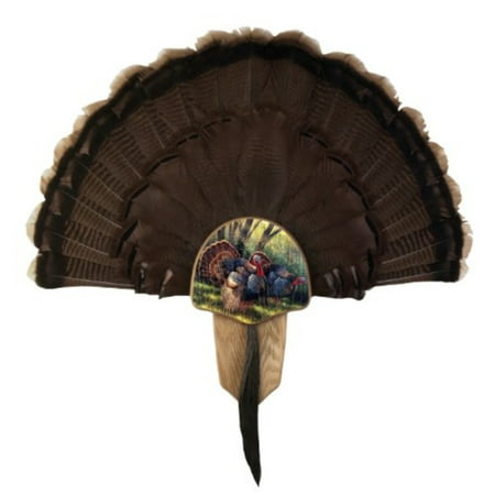 Walnut Hollow Country Turkey Fan Mount and Display Kit, Oak with Spring Strut Image
