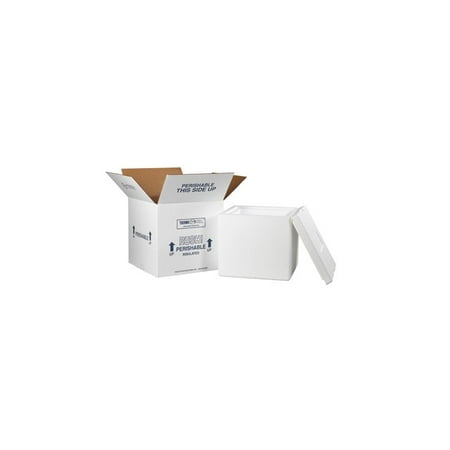 Box Package - Box Packaging Insulated Shipping Container, White, 1 Each