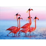 Avanti Press Five Flamingos Wearing Grad Caps Funny / Humorous Congratulations Graduation Card