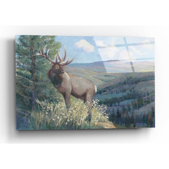 Epic Art 'View From the Top II' by Tim O'Toole, Acrylic Glass Wall Art, 24"x16"