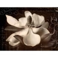 thumbnail image 3 of Melious, Amy 24x19 Black Modern Framed Museum Art Print Titled - Garden Journal I, 3 of 5