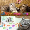 thumbnail image 6 of Cat Spring Toy, Spiral Interactive Cat Toy, Colorful Cat Spring For Self - Play And Pet Interaction, Durable Pet Spring Toy For Kitten And Cat Exercise And Entertainment, 6 of 6