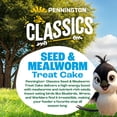 thumbnail image 4 of Pennington Classics Seed & Mealworm Treat Cake 1.4 Pounds, 4 of 11