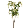 thumbnail image 1 of Vickerman FR191502 38 in. Green Berry Flower Spray, 1 of 3