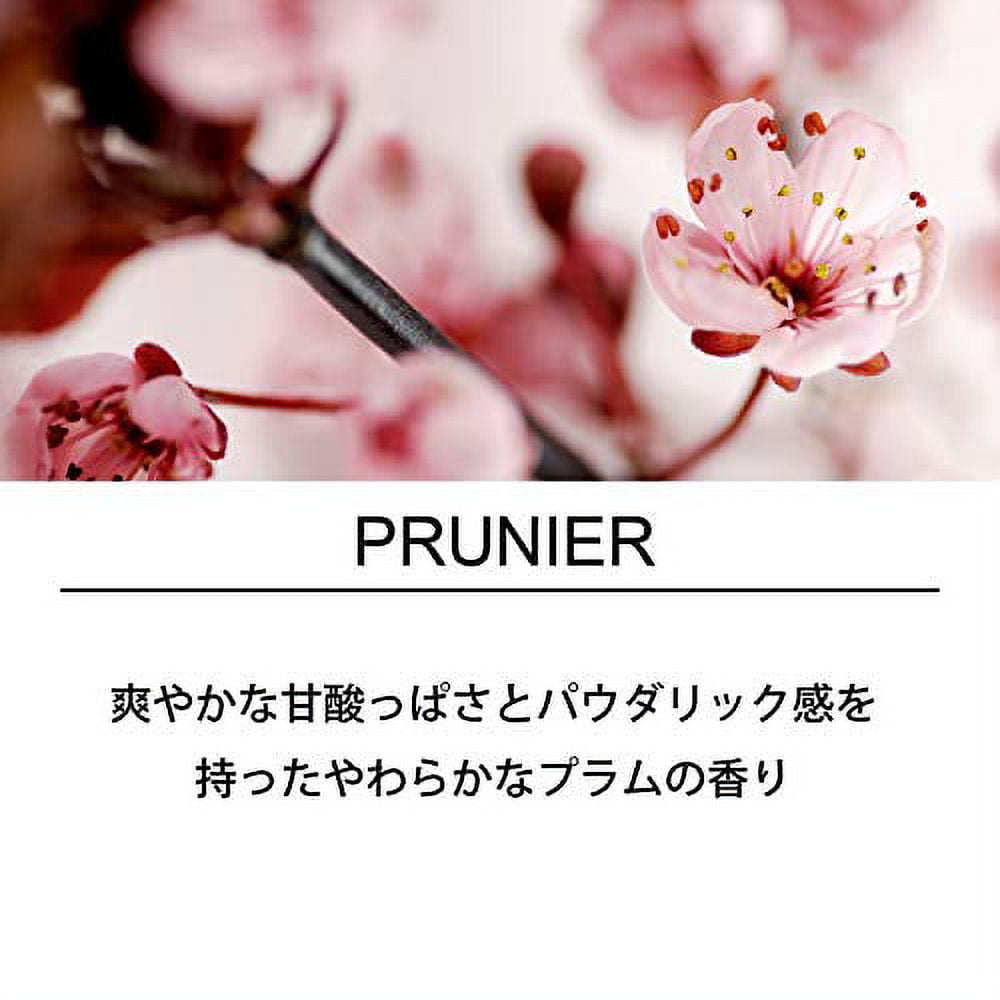 Japan Incense - Esteban Esprit de Natur Plum 40 piecesAF27
