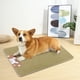 thumbnail image 4 of Oferta por tiempo limitado!Estera para perrera anticalor fresca de verano, estera de hielo para gatos, suministros para mascotas, estera antideslizante de ratán, 4 of 8