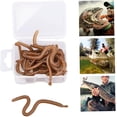 thumbnail image 4 of Fake Earthworm Soft Lures Lifelike Artificial Fishing Baits Silicone Earthworm Set1boxbrown, 4 of 5