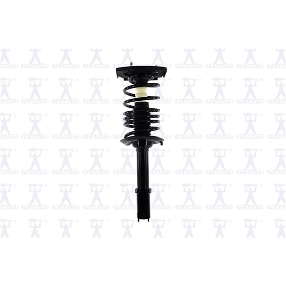 Suspension Strut and Coil Spring Assembly