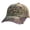 H, variant on RjnShan United States 250th Anniversary Commemorative Cap Unisex Adjustable Embroidered Print Patriotic Theme Baseball Hat