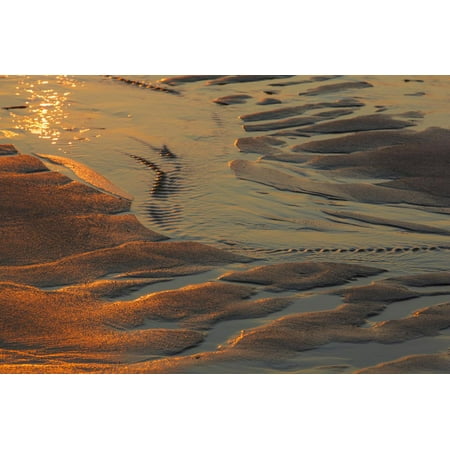 Patterns in the Sand at Coast Guard Beach in the Cape Cod National Seashore Print Wall Art By Jerry and Marcy