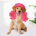 thumbnail image 1 of Peluca divertida de cosplay para perros, ropa para la cabeza, disfraces de Toypet, vestido de gato para Halloween Feliz Sencillez, 1 of 5
