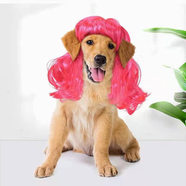 Peluca divertida de cosplay para perros, ropa para la cabeza, disfraces de Toypet, vestido de gato para Halloween Feliz Sencillez