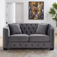 thumbnail image 2 of 59 Inch Chesterfield Sofa, Velvet 2-Seater Couch, Upholstered Sofa with Deep-Button Tufting and 2 Pillows for Living Room, Bedroom, Apartment, Office, Salon, Lounge, Classic Design, Grey, 2 of 8