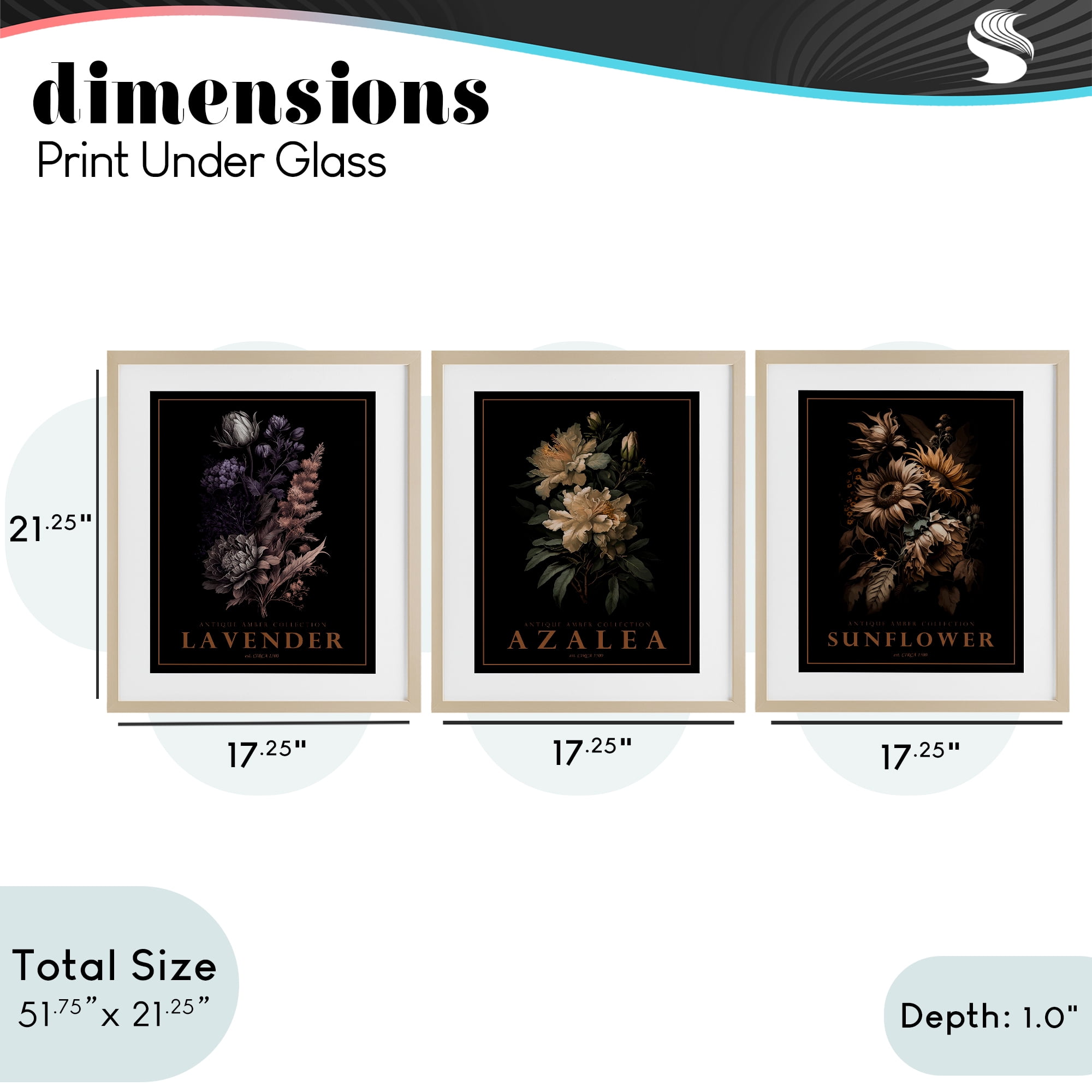 Stupell Industries Antique Botanical Herb Bushels 3 Piece Birch Framed Print Under Glass Set, design by Christopher Giampietro