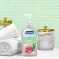 thumbnail image 2 of Softsoap Antibacterial Liquid Hand Soap, Sensitive Rosewater And Aloe Scent Hand Soap, 11.25 Fl Oz (Pack Of 6), 2 of 3