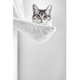 thumbnail image 2 of Danek, Pascal 11x14 White Modern Wood Framed Museum Art Print Titled - Elevated Cat, 2 of 4