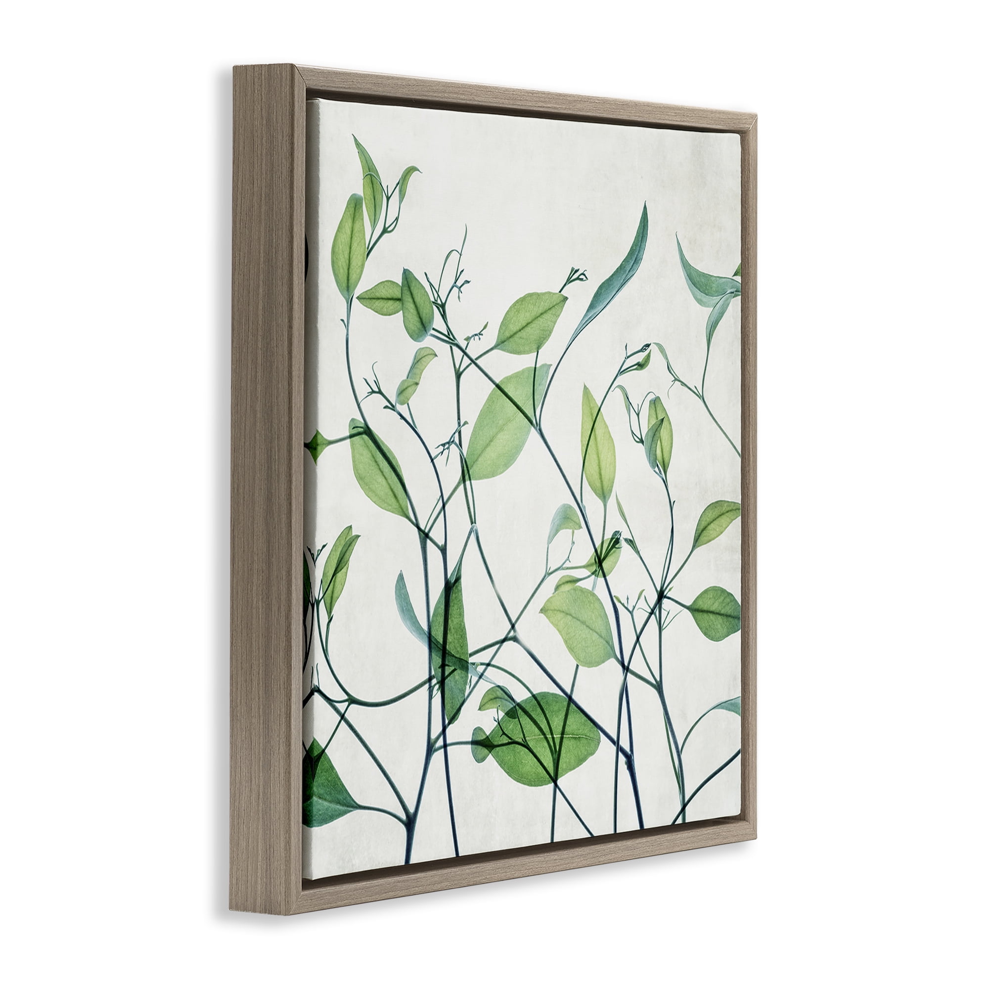 Stupell Industries Modern Vine Pattern Botanical & Floral Painting Brown Floater Framed Art Print Wall Art, 25 x 25