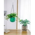 thumbnail image 3 of Scheam 3 Pack Hanging Pots with Drainage Holes,Self Watering Hanging Planters,Plastic Hanging Pot,Prefect for Spring Indoor Outdoor Garden Home Decorations (Emerald,Gray,Clear), 3 of 7