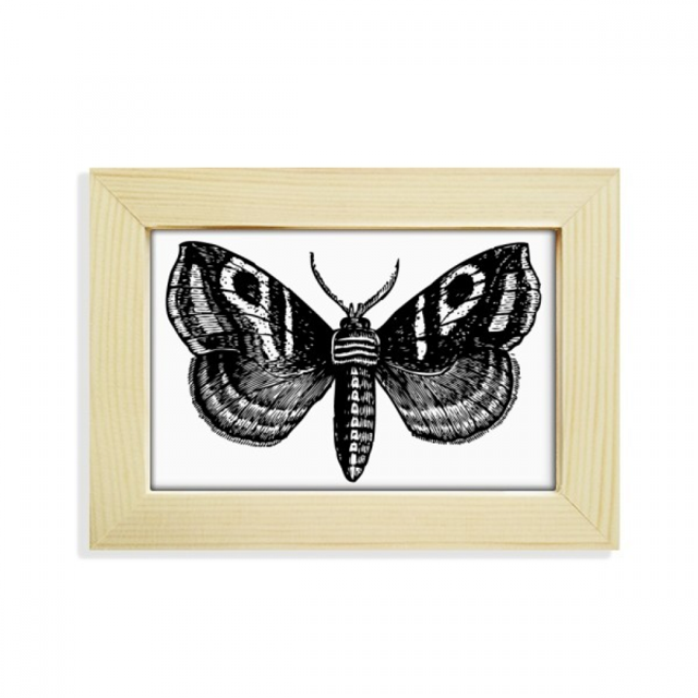 Noir avec Simple Bureau de Modèle Décorer Photo Cadre Image Art Peinture 5 X 7 Pouces
