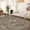 AR1006-TAN, variant on DEORAB 5'x7' Area Rugs for Living Room, Non Slip Machine Washable Vintage Indoor Rug, Low Pile Print Rug for Bedroom Dining Room Home Office