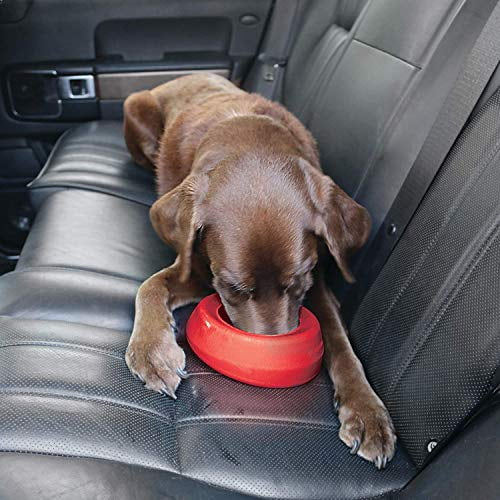 Dog car travel clearance accessories
