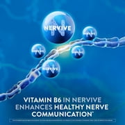 Nervive Nerve Health Tablets, Nerve Care with Vitamin B12, Vitamin B6, Vitamin B1 30 Count