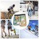 thumbnail image 4 of Balery Starfish And Seashell On The Summer Beach Calzoncillos bóxer para hombre, ropa interior de algodón suave y transpirable con cinturilla de nailon-Medium, 4 of 5