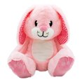 thumbnail image 1 of Scentco Sunny Spring Bunny - Peluche de 10" con aroma a fresa - Regalos para niños, Ideas Scentco Scentco, 1 of 2