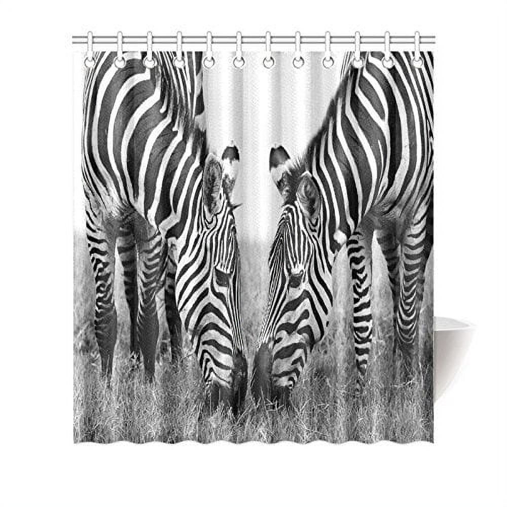 MYPOP Animal Zebra Print Decor, Wildlife Animal Decor Art Decorations Zebra Couple Monochrome Effect Fabric Bathroom Shower Curtain 66 X 72 Inches, Black and White Gray - image 1 of 2