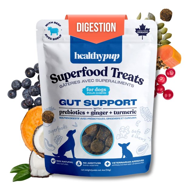 The Healthypup Co – Gut Support – Soft Functional Dog Treats with Prebiotics & Pumpkin, 4-oz bag
