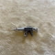 thumbnail image 1 of Décadas de construcción Mega Bloks Construx Call of Duty, Diego Presidencia Almovies, equipo can you b29, armas perfectamente ensambladas, bloques a granel, 1 of 5