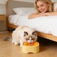 thumbnail image 4 of Ailezt Spill Proof Water Bowl Large Capacity No Dish Slow Drinking Design With Guard Base For Stability Puppy Bowl Crate Travel Indoor Outdoor Water Bo, 4 of 6