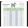 thumbnail image 2 of Dog Costume Clothes for Pets Spring Onesie for Puppy Pet Cat Denim Overalls Coat Cute Bear Warm Girl Outfits for Small Dogs Boy Costumes(2XL,#B), 2 of 2