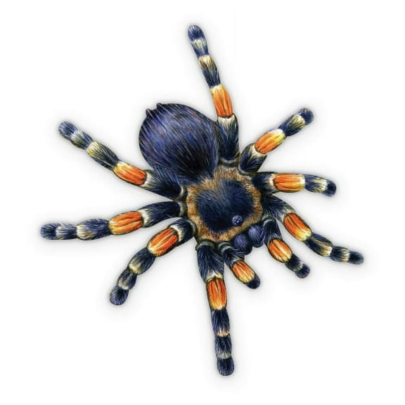 Tarantula - 3" Vinyl Sticker - For Car Laptop I-Pad Phone Helmet Hard Hat - Waterproof Decal