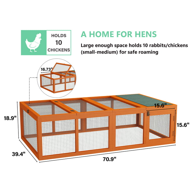 What is the best location for a chicken coop? Top 10 Tips - My Pet Chicken