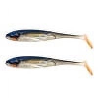 CSChome Soft Lure Soft Fishing Lures - 2Pcs 31g/12.5cm Bright Color Bite-Resistant Realistic T Tail Bait