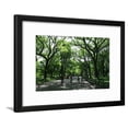 thumbnail image 1 of Central Park Mall Summer, Botanical Scenic Framed Art Print Wall Art by Robert Goldwitz Sold by Art.Com, 1 of 5