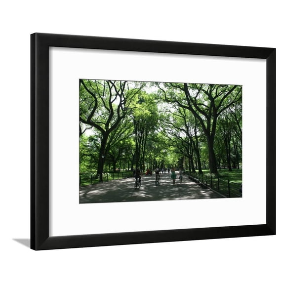Central Park Mall Summer, Botanical Scenic Framed Art Print Wall Art by Robert Goldwitz Sold by Art.Com