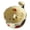 Warm White, variant on KGJQ Berry Washing Bowl, Raised Center Drainage Hole Fruit Rinse Bowl, Self-Spinning Ceramic Serving Colander for Kitchen Countertop