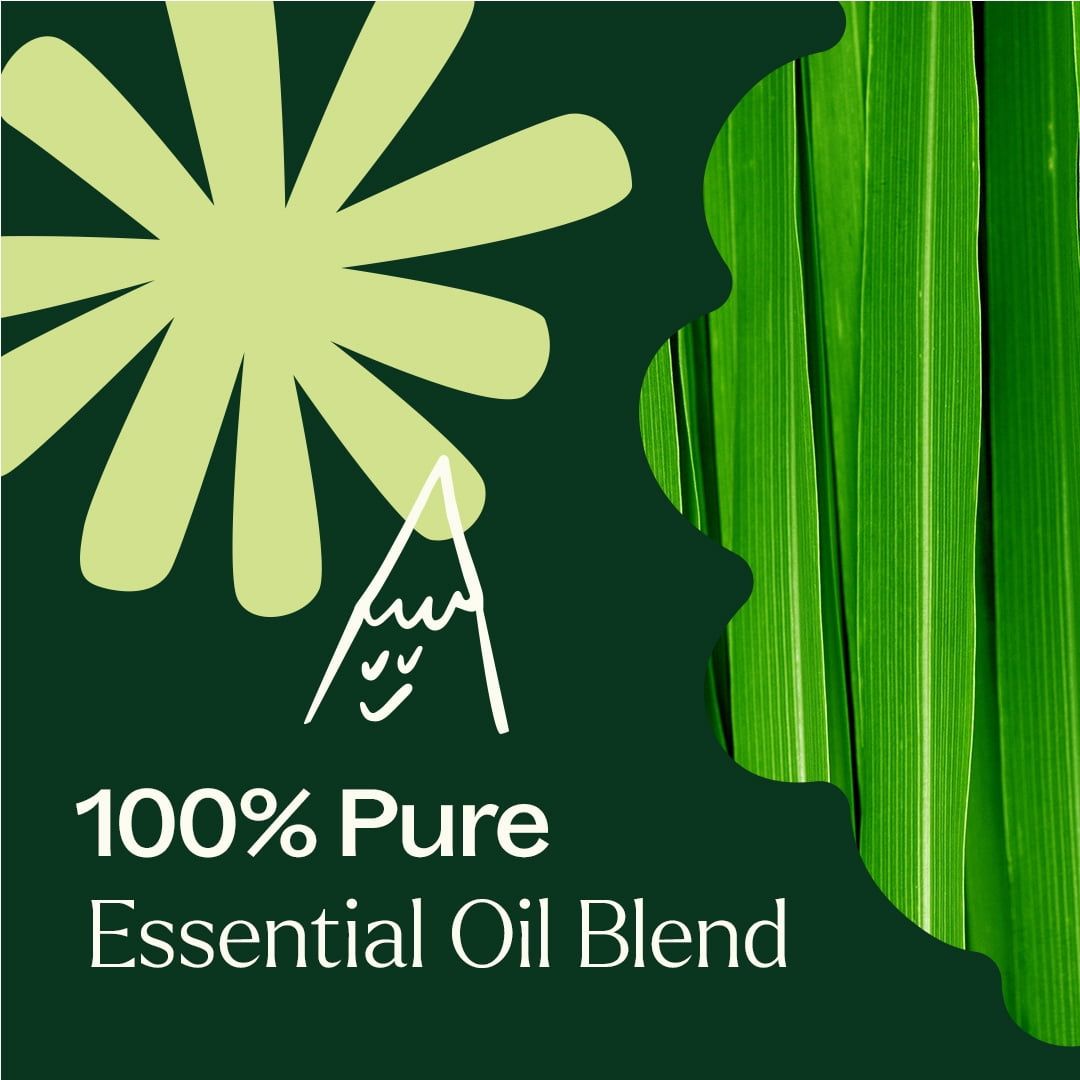 Plant Therapy Nature Shield Essential Oil Blend 30 mL (1 oz) 100% Pure, Undiluted, Natural Aromatherapy