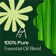 thumbnail image 5 of Plant Therapy Nature Shield Essential Oil Blend 10 mL (1/3 oz) 100% Pure, Undiluted, Natural Aromatherapy, 5 of 9