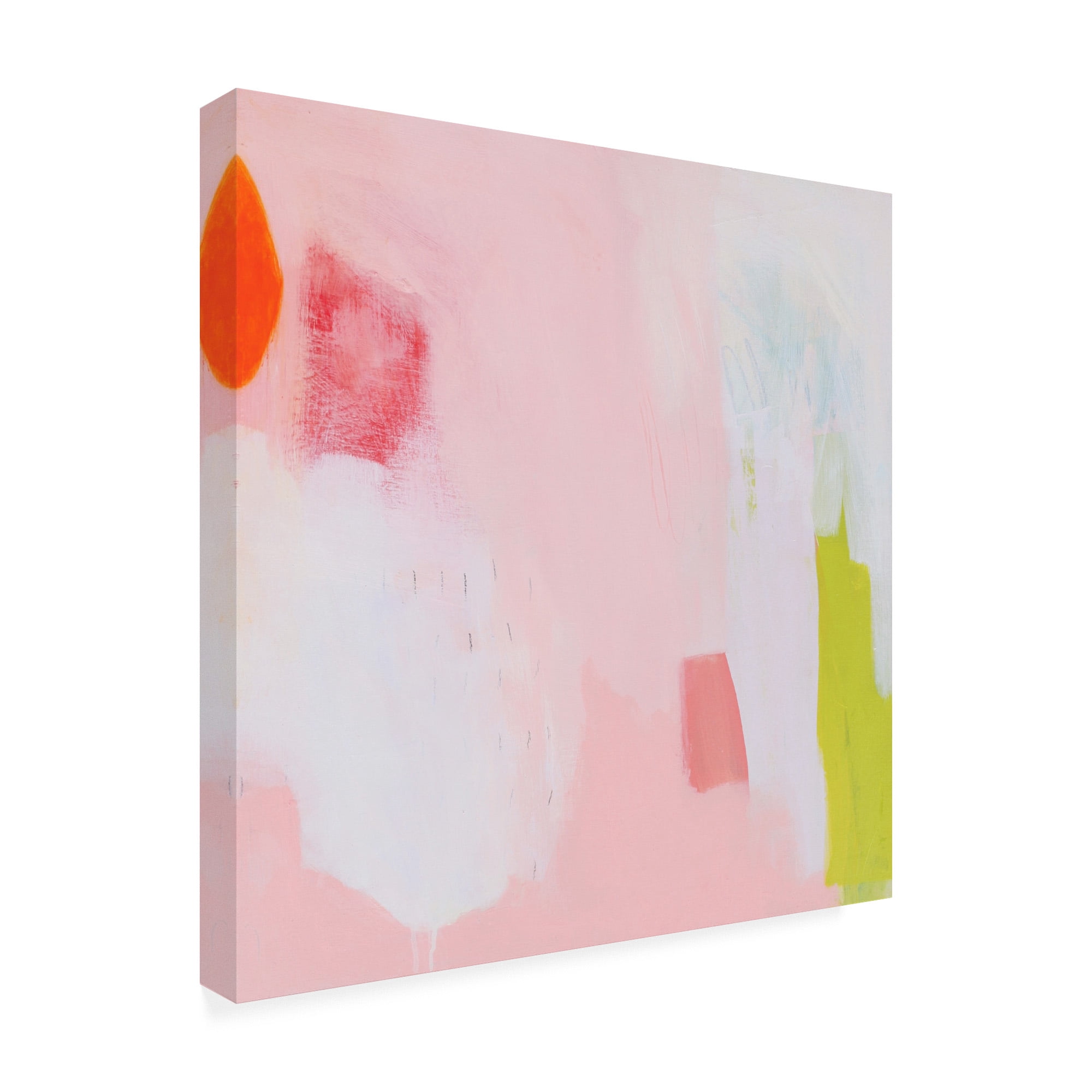 Trademark Fine Art 'Seed Pack' Canvas Art by Melissa Donoh