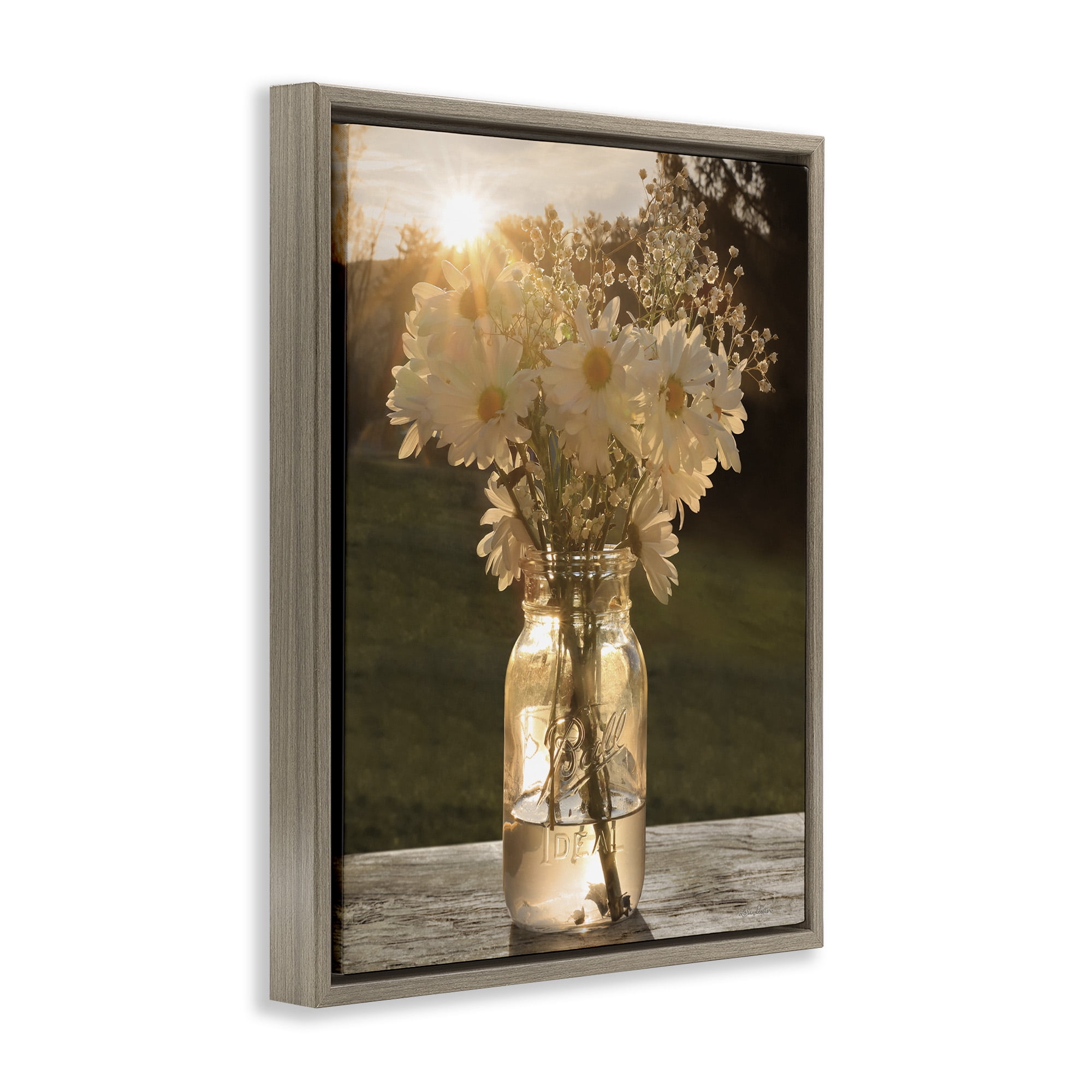 Stupell Industries Warm Meadow Daisies in Jar Botanical & Floral Photography Brown Floater Framed Canvas Art Print Wall Art, 25 x 31