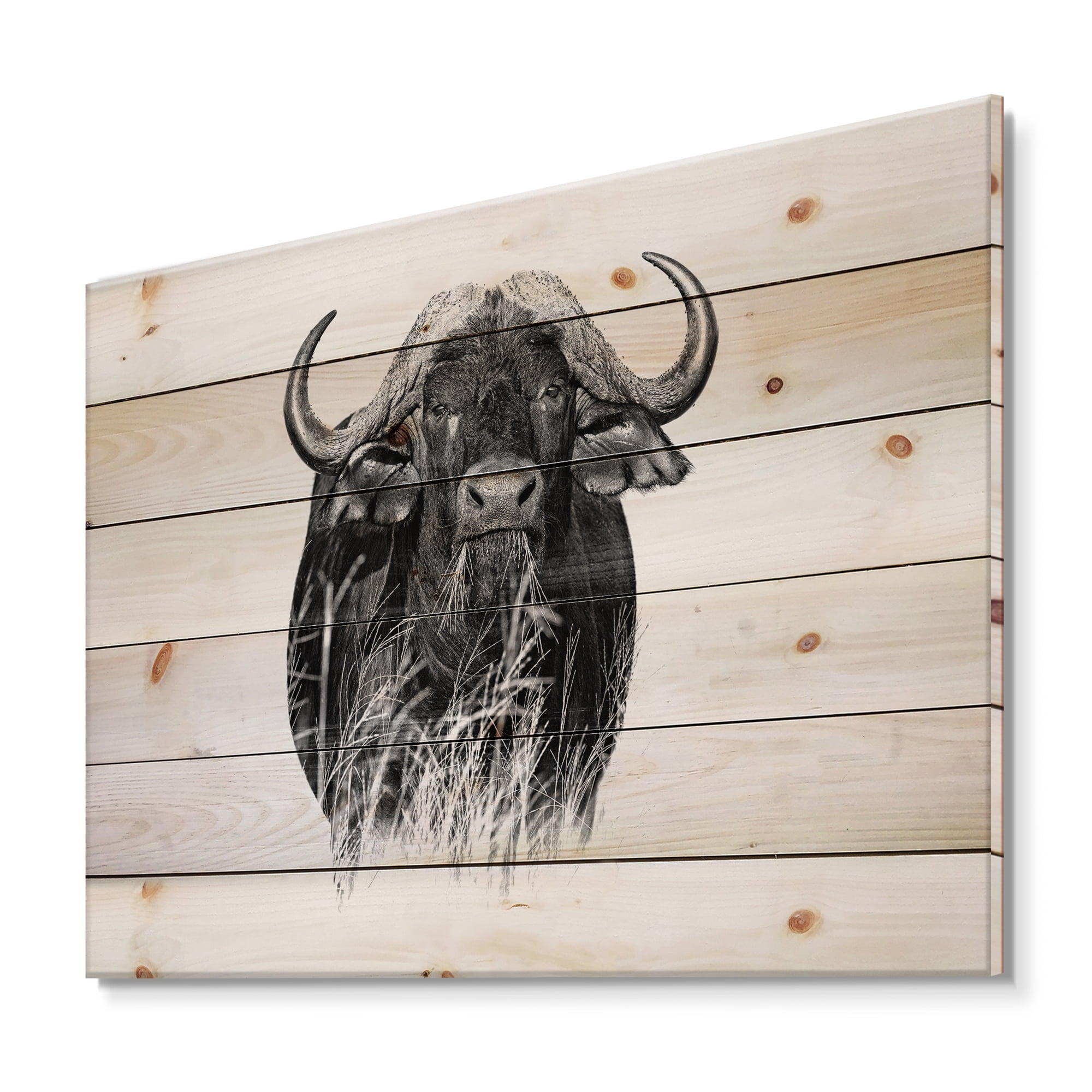 Designart 'Black and White Portrait Of Buffalo IV' Farmhouse Print on Natural Pine Wood