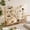Gold, variant on Triple 5 Tier Bookshelf, Large Wooden Bookcase with 17 Open Display Shelves, Modern Tree Book Shelf Metal Frame Tall Bookshelves Furniture for Living Room Bedroom Home Office Rustic Brown