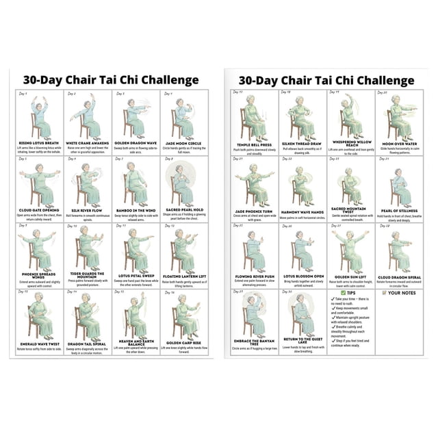 Tai Chi Chair Workout Chart for Seniors – 30 Day Exercise & Walking Program Poster, Seated Calisthenics Routine for Balance, Mobility & Home Fitness